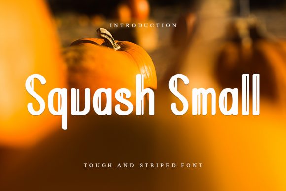 Discovering Squash Small: A Fresh Display Font for Your Next Project