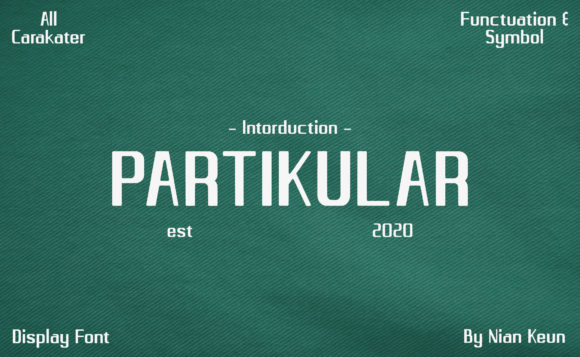 Partikular: A Versatile Display Font for Engaging Campaigns
