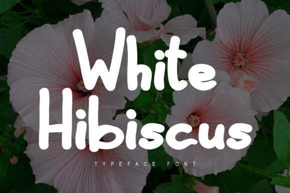 White Hibiscus: Elevate Your Brand with This Versatile Display Font